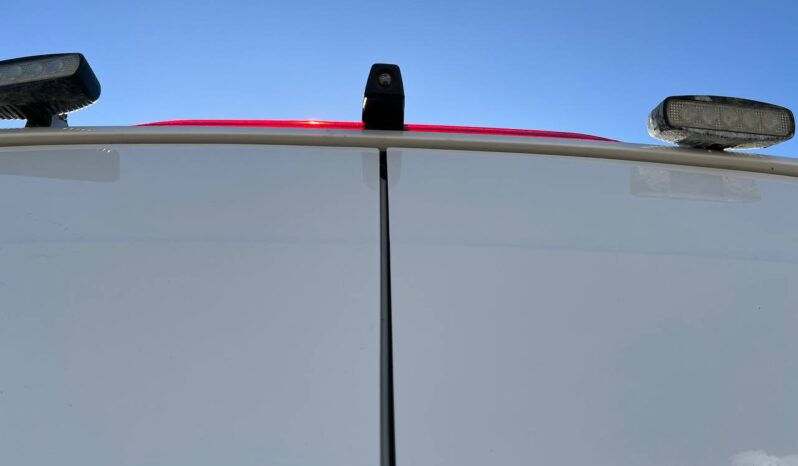 MAN TGE 3.140 2019 104KW Frigorifico hasta -20 lleno